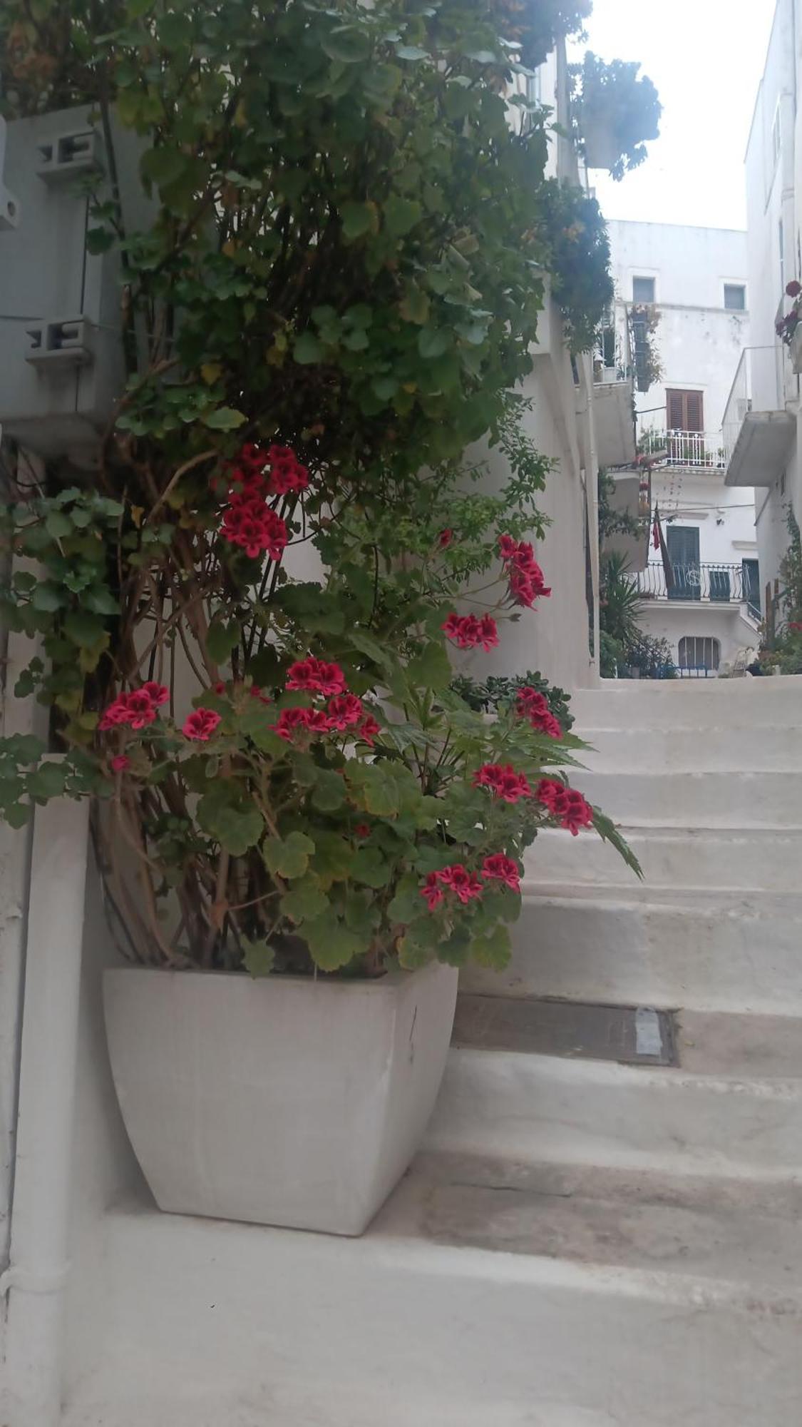 Hotel La Chicca di C.Cavour Ostuni Esterno foto